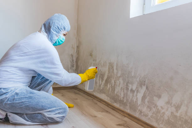 Hvac And Air Duct Mold Remediation inspection of HVAC system in New Providence