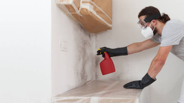 Attic Mold Remediation treatment on roof deck in New Providence