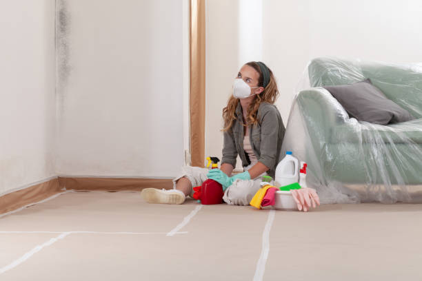 Mold Remediation service in New Providence, New Providence, NJ